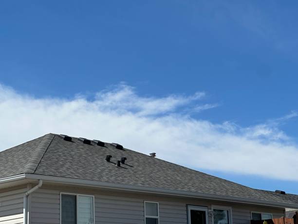 Best Chimney Flashing Repair  in Camp Verde, AZ